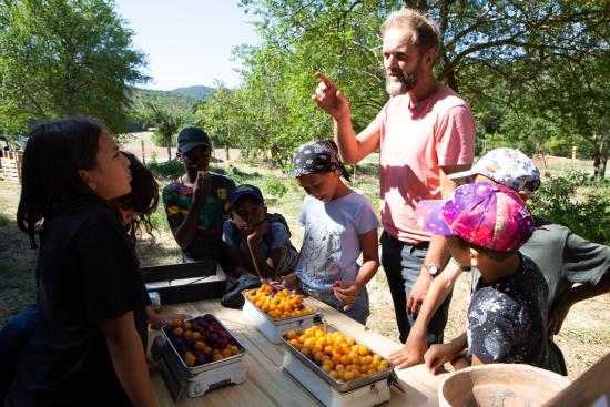 Ernæringsworkshop - Chabotte sommer 2022